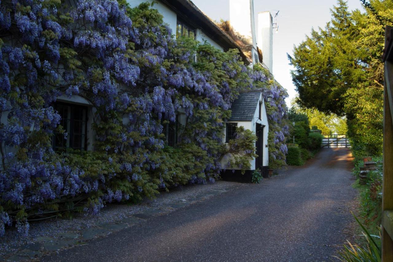 Duddings Country Cottages Minehead Exterior foto